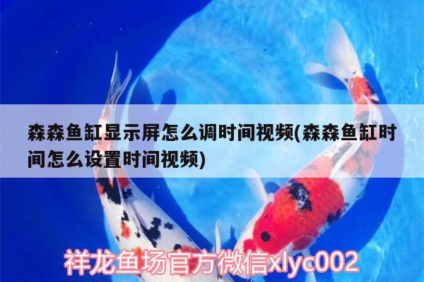 森森魚(yú)缸顯示屏怎么調(diào)時(shí)間視頻(森森魚(yú)缸時(shí)間怎么設(shè)置時(shí)間視頻) PH調(diào)節(jié)劑 第2張