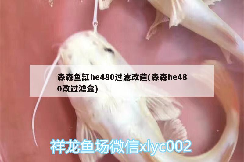 森森魚缸he480過濾改造(森森h(huán)e480改過濾盒)