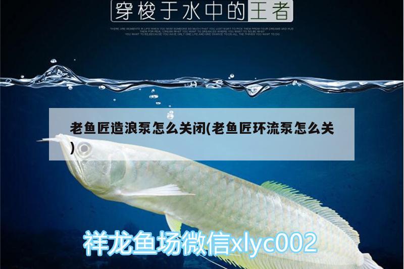 老魚匠造浪泵怎么關(guān)閉(老魚匠環(huán)流泵怎么關(guān))