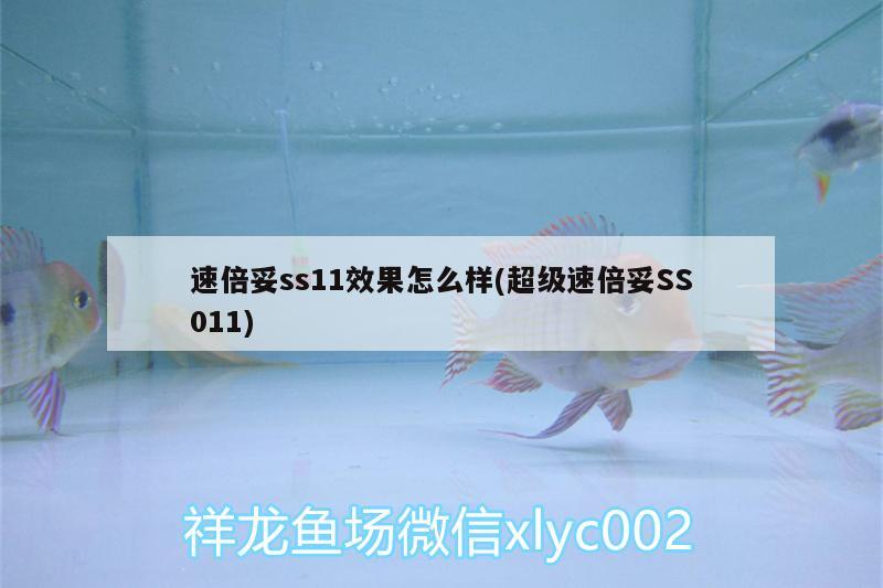 速倍妥ss11效果怎么樣(超級速倍妥SS011) 速倍妥