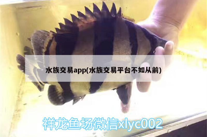 水族交易app(水族交易平臺(tái)不如從前)