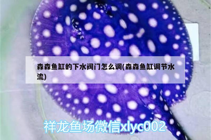 森森魚缸的下水閥門怎么調(diào)(森森魚缸調(diào)節(jié)水流) 南美異型魚