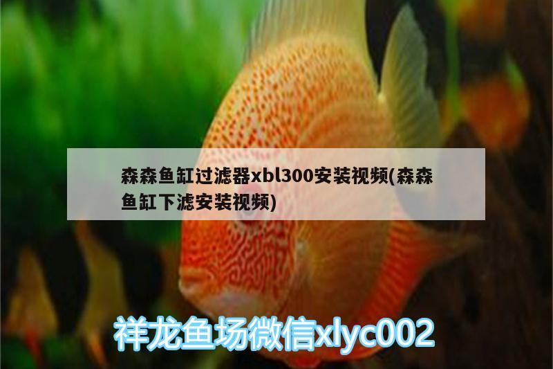 森森魚缸過濾器xbl300安裝視頻(森森魚缸下濾安裝視頻)