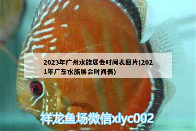 2023年廣州水族展會(huì)時(shí)間表圖片(2021年廣東水族展會(huì)時(shí)間表)