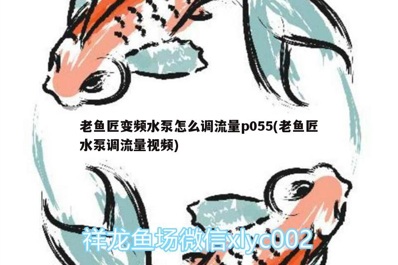 老魚匠變頻水泵怎么調(diào)流量p055(老魚匠水泵調(diào)流量視頻) 老魚匠