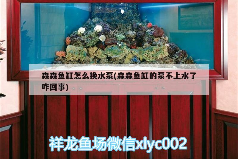 森森魚缸怎么換水泵(森森魚缸的泵不上水了咋回事) 雙線側魚