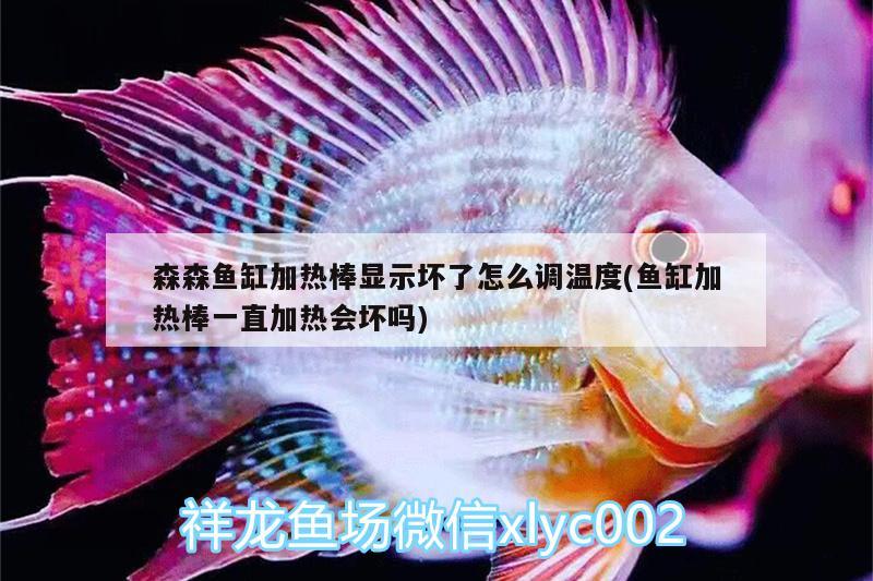 森森魚缸加熱棒顯示壞了怎么調(diào)溫度(魚缸加熱棒一直加熱會(huì)壞嗎)