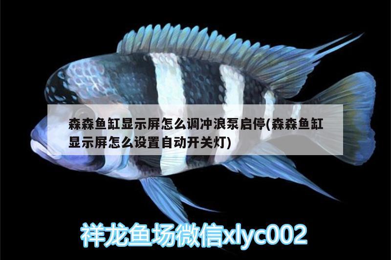 森森魚缸顯示屏怎么調(diào)沖浪泵啟停(森森魚缸顯示屏怎么設(shè)置自動(dòng)開關(guān)燈) 黃金達(dá)摩魚