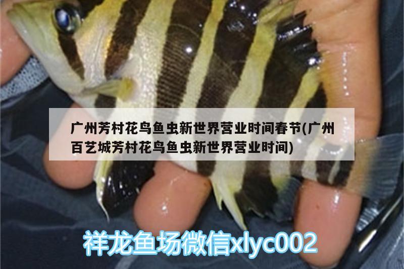 廣州芳村花鳥魚蟲新世界營業(yè)時間春節(jié)(廣州百藝城芳村花鳥魚蟲新世界營業(yè)時間)