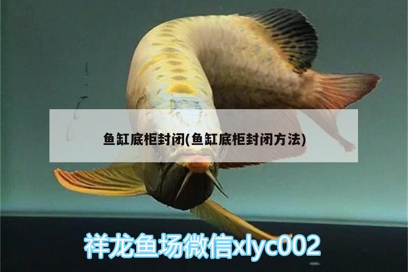 魚缸底柜封閉(魚缸底柜封閉方法) 廣州水族器材濾材批發(fā)市場