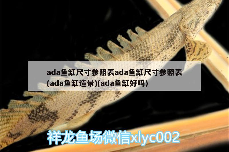 ada魚缸尺寸參照表ada魚缸尺寸參照表(ada魚缸造景)(ada魚缸好嗎) 七紋巨鯉魚