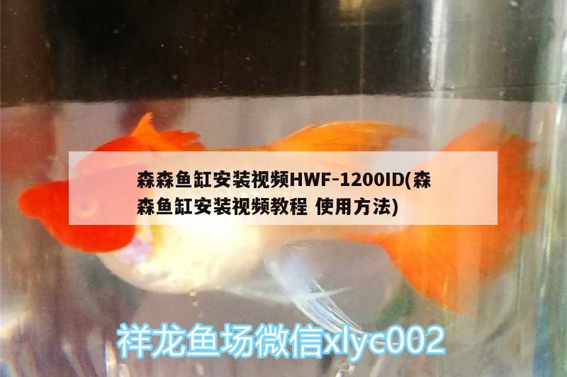 森森魚缸安裝視頻HWF-1200ID(森森魚缸安裝視頻教程使用方法)