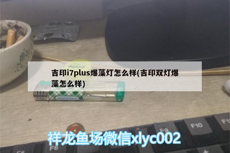 吉印i7plus爆藻燈怎么樣(吉印雙燈爆藻怎么樣)