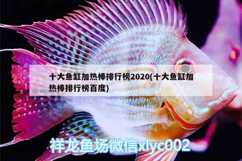 十大魚缸加熱棒排行榜2020(十大魚缸加熱棒排行榜百度)