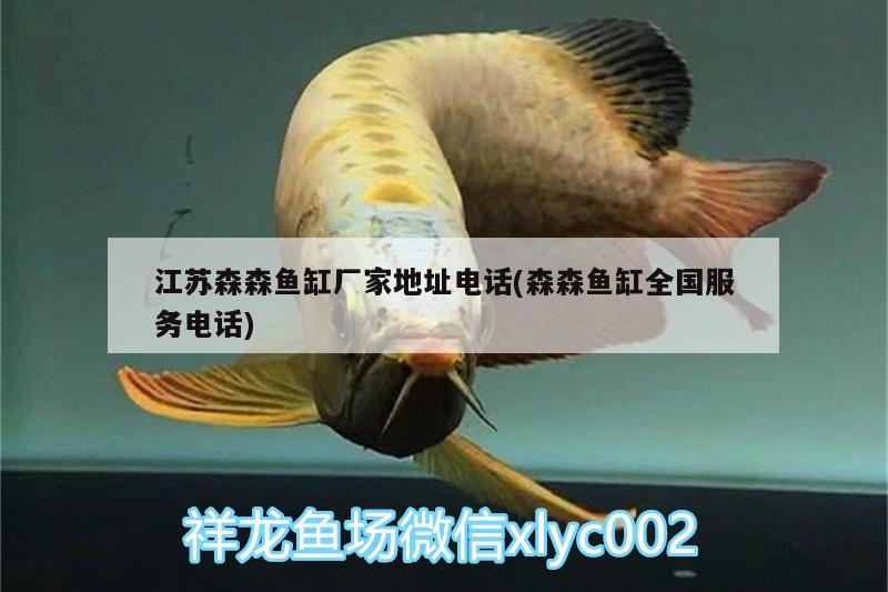 江蘇森森魚缸廠家地址電話(森森魚缸全國服務電話) 黃金貓魚百科