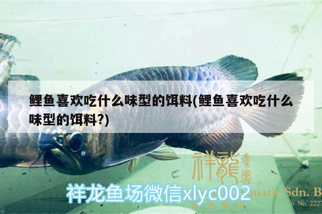 鯉魚喜歡吃什么味型的餌料(鯉魚喜歡吃什么味型的餌料?)