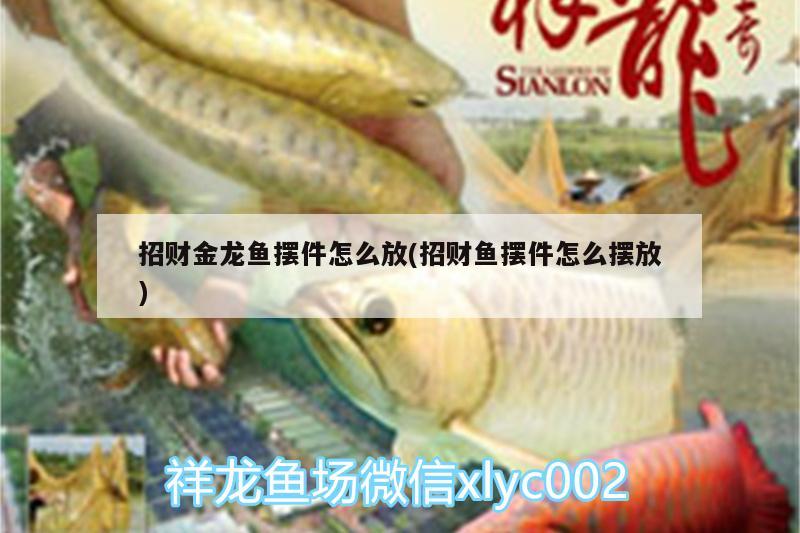 招財金龍魚擺件怎么放(招財魚擺件怎么擺放) 水溫計