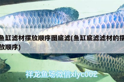 魚缸濾材擺放順序圖底濾(魚缸底濾濾材的擺放順序) 黑水素