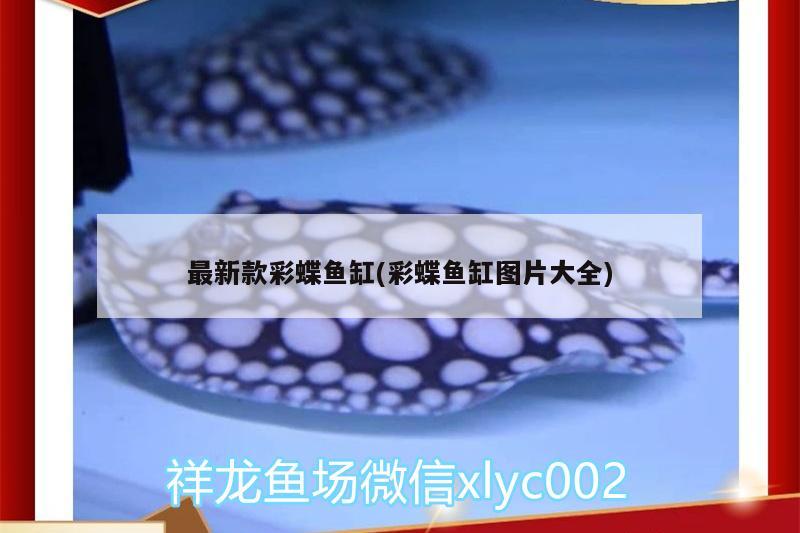 最新款彩蝶魚缸(彩蝶魚缸圖片大全)