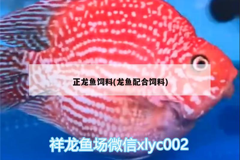 正龍魚飼料(龍魚配合飼料)