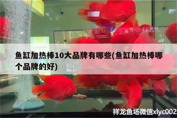 魚缸加熱棒10大品牌有哪些(魚缸加熱棒哪個品牌的好) 一眉道人魚