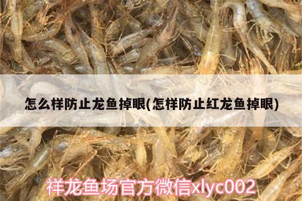 怎么樣防止龍魚掉眼(怎樣防止紅龍魚掉眼) 黑水素