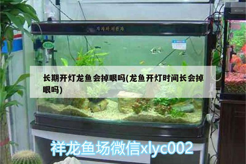 長期開燈龍魚會掉眼嗎(龍魚開燈時(shí)間長會掉眼嗎) 祥龍水族護(hù)理水