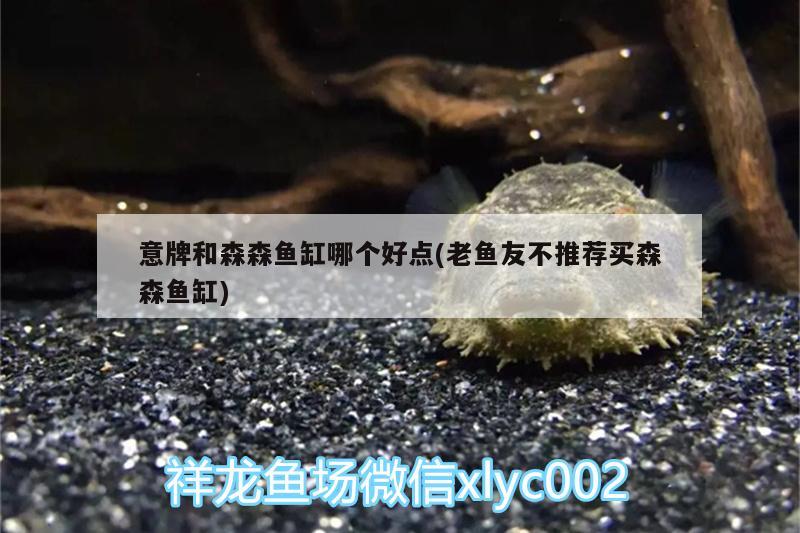 意牌和森森魚缸哪個好點(老魚友不推薦買森森魚缸)