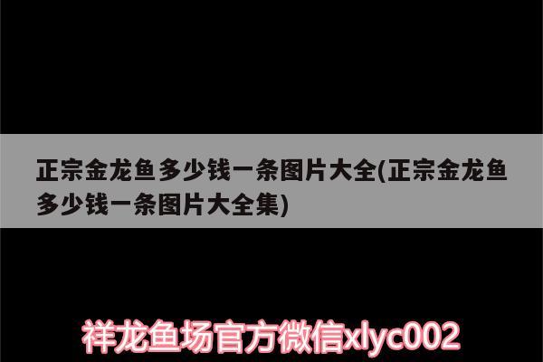 正宗金龍魚(yú)多少錢(qián)一條圖片大全(正宗金龍魚(yú)多少錢(qián)一條圖片大全集)