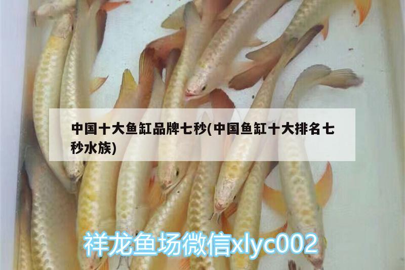 中國十大魚缸品牌七秒(中國魚缸十大排名七秒水族)