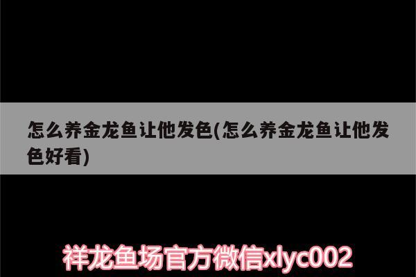 怎么養(yǎng)金龍魚讓他發(fā)色(怎么養(yǎng)金龍魚讓他發(fā)色好看)