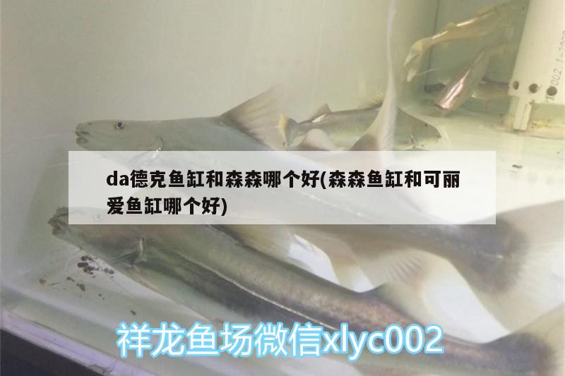 da德克魚缸和森森哪個好(森森魚缸和可麗愛魚缸哪個好)