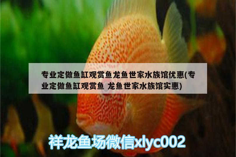 專業(yè)定做魚缸觀賞魚龍魚世家水族館優(yōu)惠(專業(yè)定做魚缸觀賞魚龍魚世家水族館實惠)