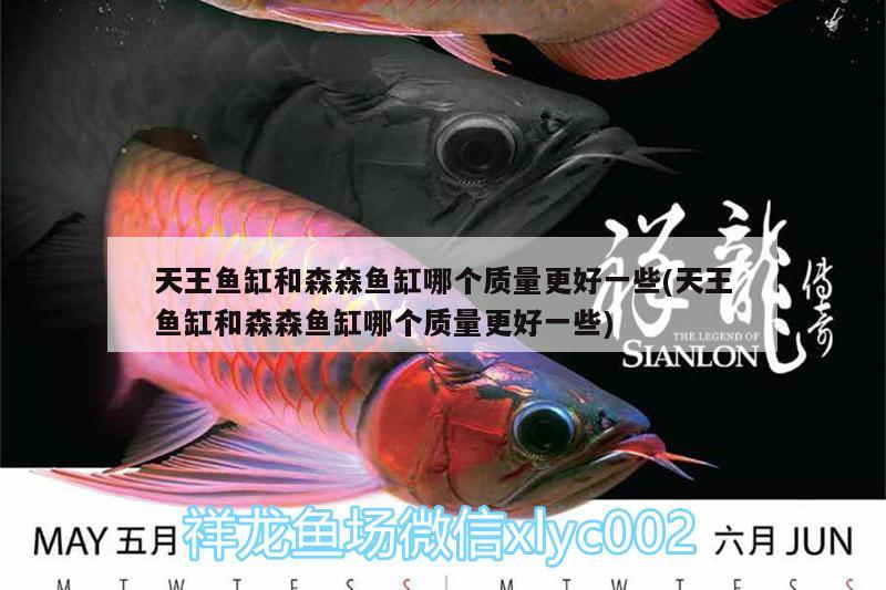 天王魚(yú)缸和森森魚(yú)缸哪個(gè)質(zhì)量更好一些(天王魚(yú)缸和森森魚(yú)缸哪個(gè)質(zhì)量更好一些) 魚(yú)缸清潔用具