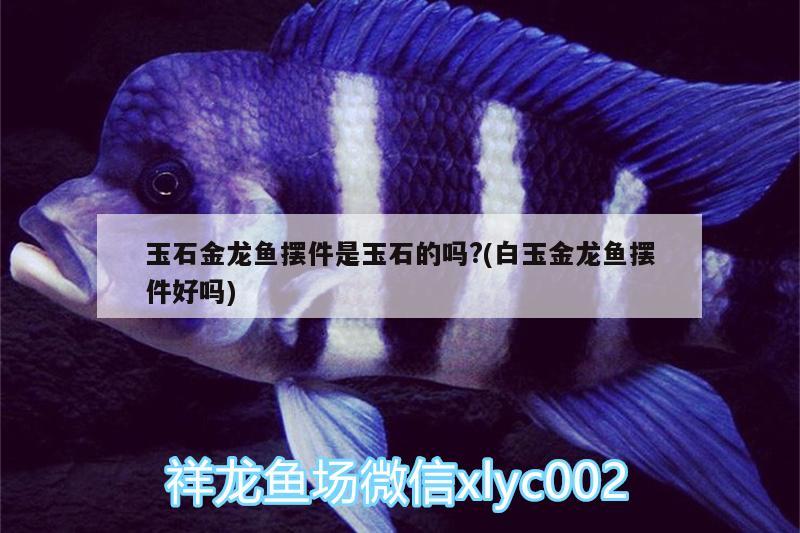 玉石金龍魚(yú)擺件是玉石的嗎?(白玉金龍魚(yú)擺件好嗎)