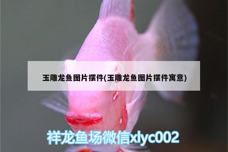 玉雕龍魚圖片擺件(玉雕龍魚圖片擺件寓意) 刀魚魚