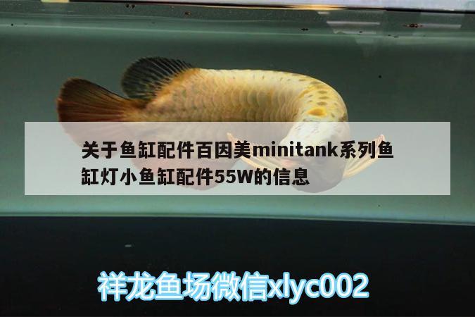 關(guān)于魚缸配件百因美m(xù)initank系列魚缸燈小魚缸配件55W的信息 金老虎魚