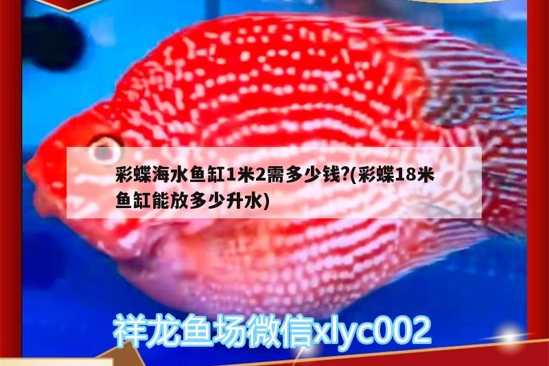 彩蝶海水魚缸1米2需多少錢?(彩蝶18米魚缸能放多少升水) 海水魚