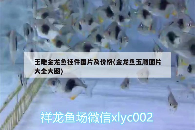 玉雕金龍魚掛件圖片及價格(金龍魚玉雕圖片大全大圖)