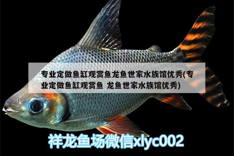 專業(yè)定做魚(yú)缸觀賞魚(yú)龍魚(yú)世家水族館優(yōu)秀(專業(yè)定做魚(yú)缸觀賞魚(yú)龍魚(yú)世家水族館優(yōu)秀)