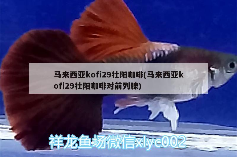 馬來西亞kofi29壯陽咖啡(馬來西亞kofi29壯陽咖啡對前列腺)