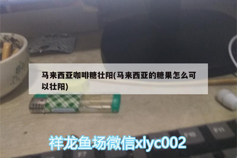 馬來西亞咖啡糖壯陽(馬來西亞的糖果怎么可以壯陽) 馬來西亞咖啡