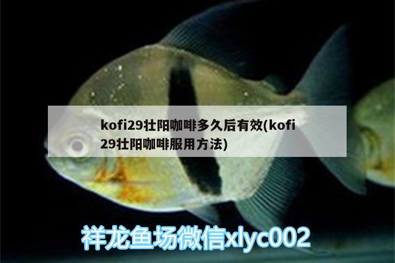 kofi29壯陽咖啡多久后有效(kofi29壯陽咖啡服用方法) 馬來西亞咖啡