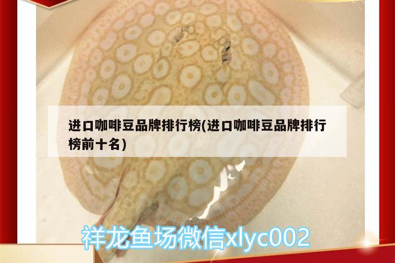 進(jìn)口咖啡豆品牌排行榜(進(jìn)口咖啡豆品牌排行榜前十名)