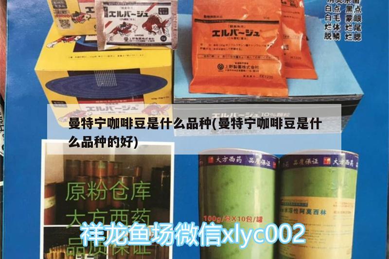 曼特寧咖啡豆是什么品種(曼特寧咖啡豆是什么品種的好) 馬來(lái)西亞咖啡