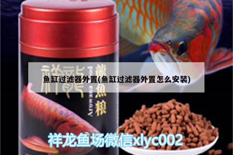 魚缸過濾器外置(魚缸過濾器外置怎么安裝)