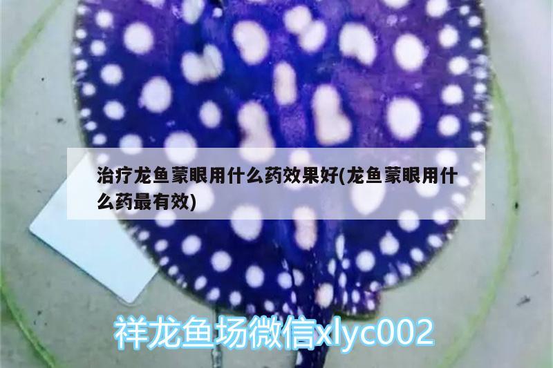 治療龍魚蒙眼用什么藥效果好(龍魚蒙眼用什么藥最有效)