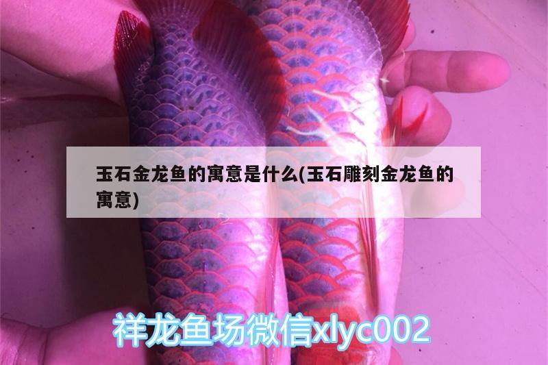 玉石金龍魚的寓意是什么(玉石雕刻金龍魚的寓意)