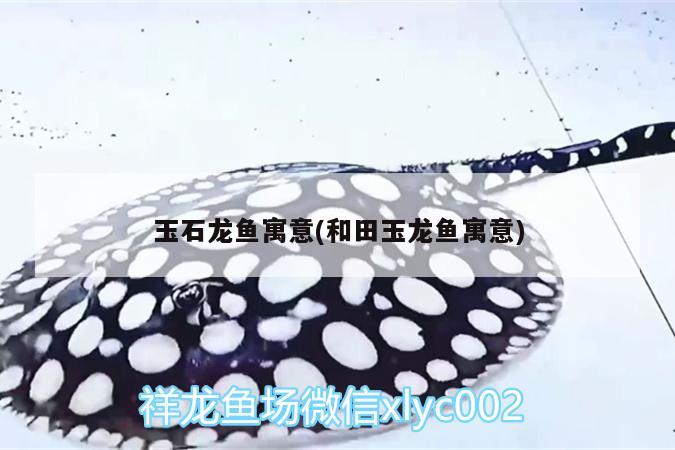 玉石龍魚寓意(和田玉龍魚寓意) 純血皇冠黑白魟魚