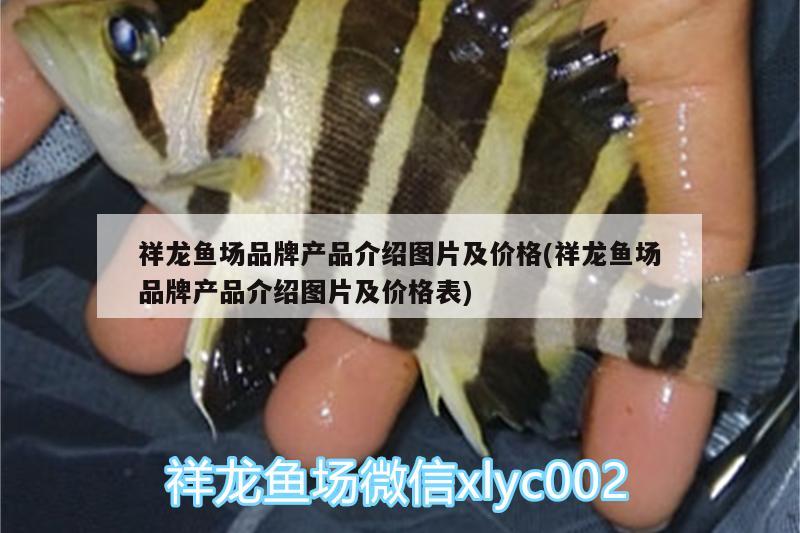 祥龍魚場品牌產(chǎn)品介紹圖片及價格(祥龍魚場品牌產(chǎn)品介紹圖片及價格表)